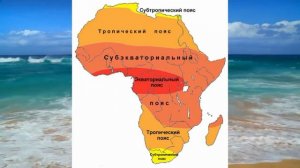 Материк Африка - описание, рельеф, климат, животный и растительный мир