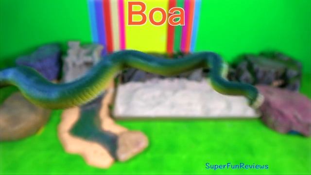 Snakes Serpent Reptile Viper Snake Basilisk Vermin Cobra Python Boa Slithery Nope Ropes 16 смотреть онлайн