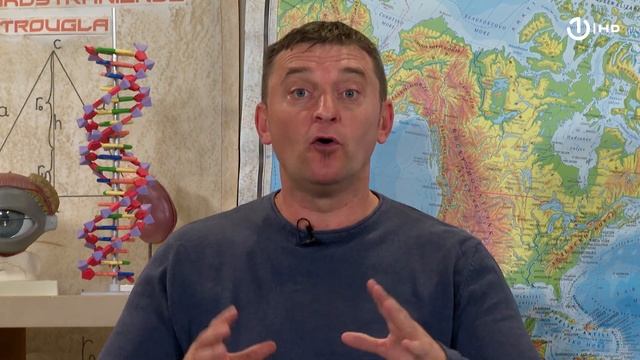 Domaća zadaća za 6. razred: Geografija - Kartografija - globus, karta; deformacije na kartama смотреть онлайн