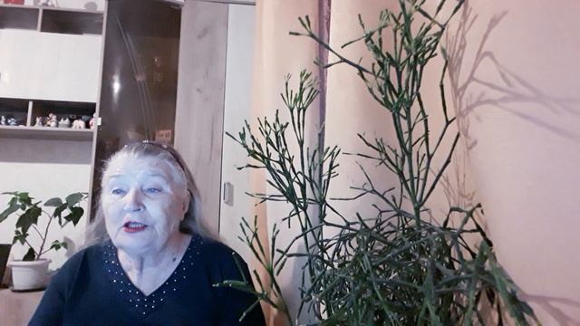 SCP  185   РАДИОСТАНЦИЯ