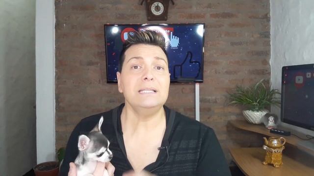 TOA LA NOCHE - CNCO - Reaccion por Coach Vocal смотреть онлайн