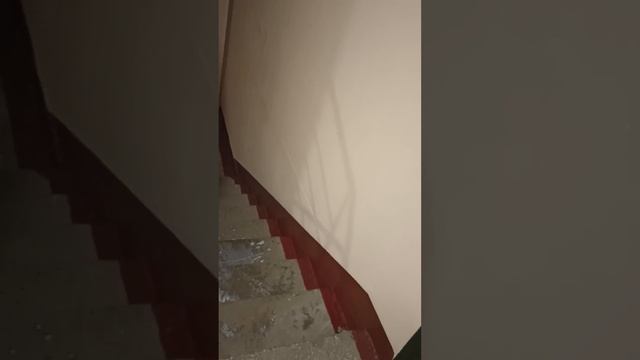 16 января 2024 г. смотреть онлайн