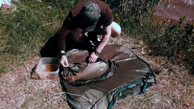 Ловля карпа в Коваши Ленинградская область. смотреть онлайн