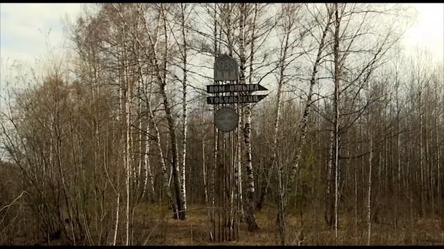 Диплом 3 степени в номинации Видеоролик Фестиваля Пространство. Моя территория - 2017 смотреть онлайн