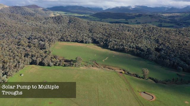Evans Lane, Myrrhee - AUCTION смотреть онлайн