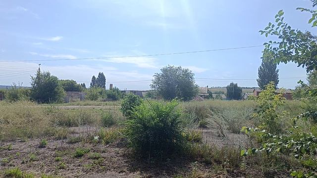 Зарастающий совхозный двор смотреть онлайн