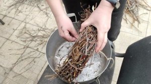 Березовый венок из веток своими руками. Удобная технология создания венков