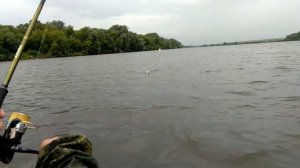 Троллинг на кренки