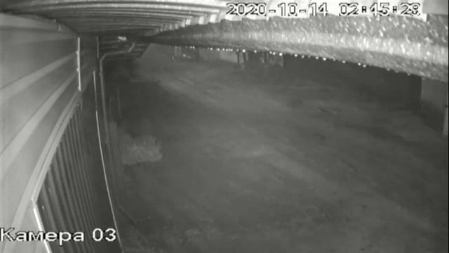 «Невидимое глазом – видеосъёмка в инфракрасном излучении – шары, вихри световых частиц» смотреть онлайн