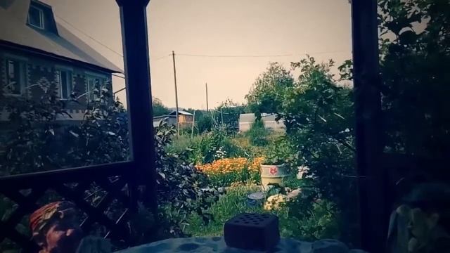 Обзор летней беседки  и  живая ширма