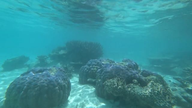 Blue lagoon island Safari Maldives. смотреть онлайн