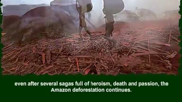 Amazon Rainforest Forever (english version) смотреть онлайн