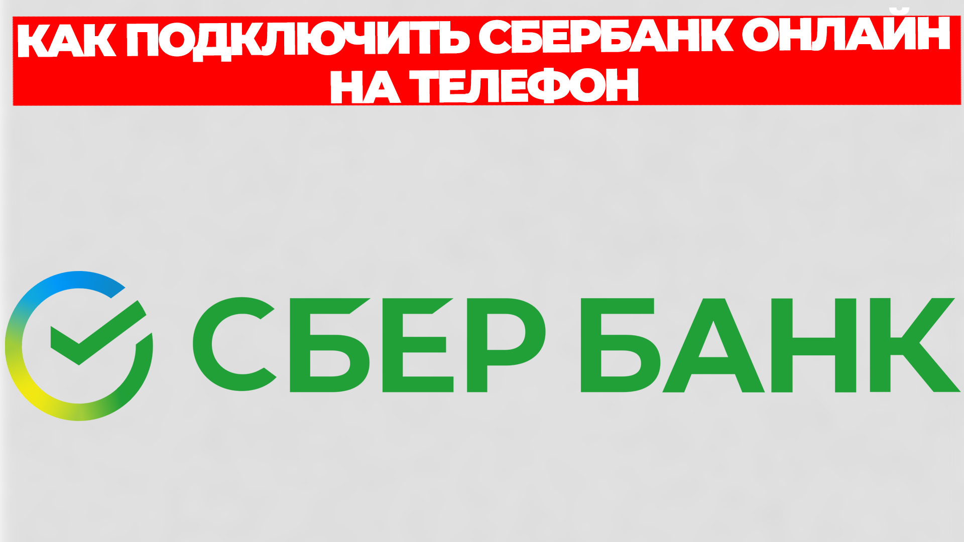 Всезнающий Енот