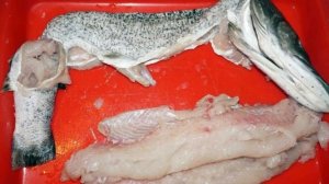 3 самые вредные речные рыбы, которых лучше не есть!