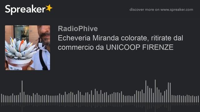 Echeveria Miranda colorate, ritirate dal commercio da UNICOOP FIRENZE (creato con Spreaker) смотреть онлайн