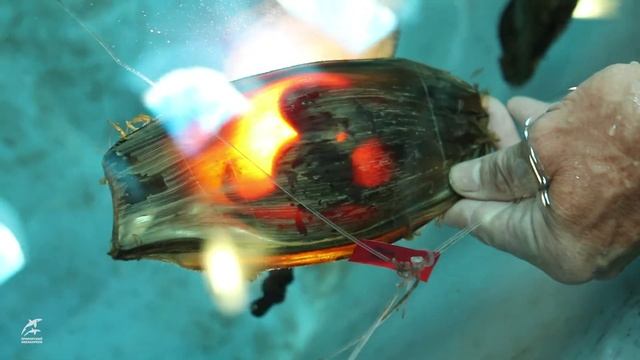 Интересные истории о науке. Выпуск 3