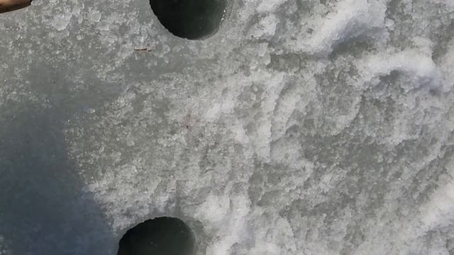 Рыбалка на опасном льду.Песчаный-Северная.Закрытие сезона твёрдой воды. смотреть онлайн