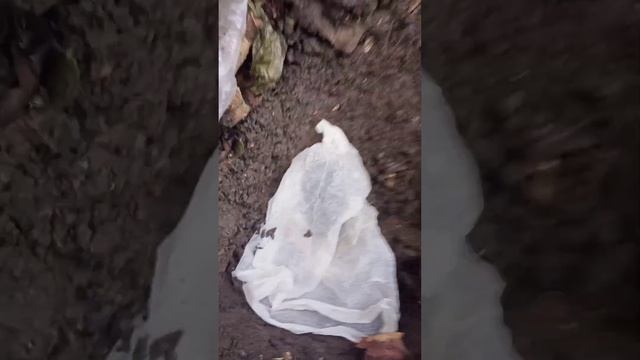 Закапал динамик на целую зиму, что с ним будет?