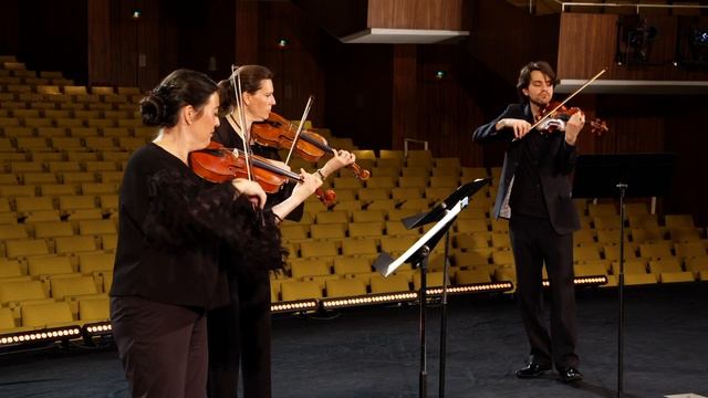 Three Mozart arias from THE MAGIC FLUTE – played by a violin quartet 2020 (Our favourites) смотреть онлайн