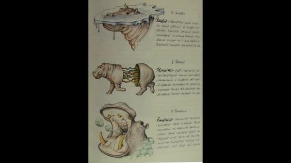 AbeBooks Review: Codex Seraphinianus by Luigi Serafini
