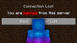PlanetLord - How I Almost Got Banned on this SMP {Lifesteal SMP}