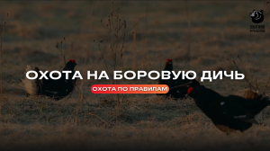 Охота на боровую дичь // Охота по правилам //  Выпуск 25