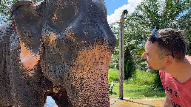 Таиланд – королевство контрастов | Цены, экскурсии, отдых 2023 | Крошин смотреть онлайн