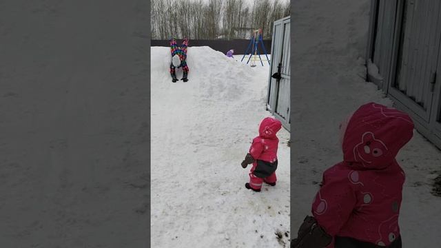 В окружении больших собак девчонки катаются с горки