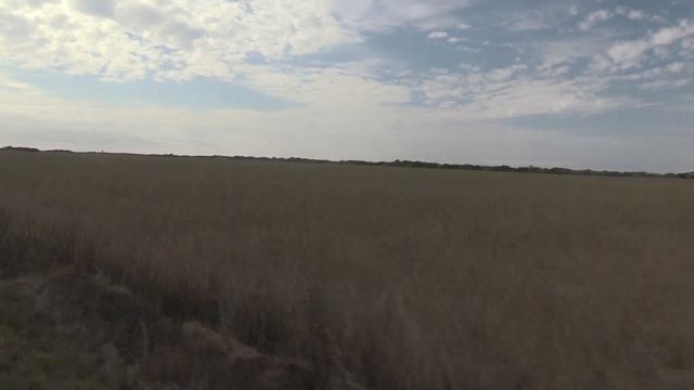 Everglades National Park Shark Valley - Miami Dade, Florida смотреть онлайн