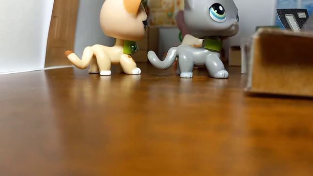 Новый ЛПС СЕРИАЛ: Школа 2021. Моя любимая стерва. LPS series серия 1 (любовь, школа, дружба, лпс) смотреть онлайн