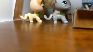 Новый ЛПС СЕРИАЛ: Школа 2021. Моя любимая стерва. LPS series серия 1 (любовь, школа, дружба, лпс)