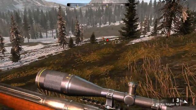 Cabela's Big Game Hunter Pro Hunts grizlze nadiroba (bear hunt) смотреть онлайн