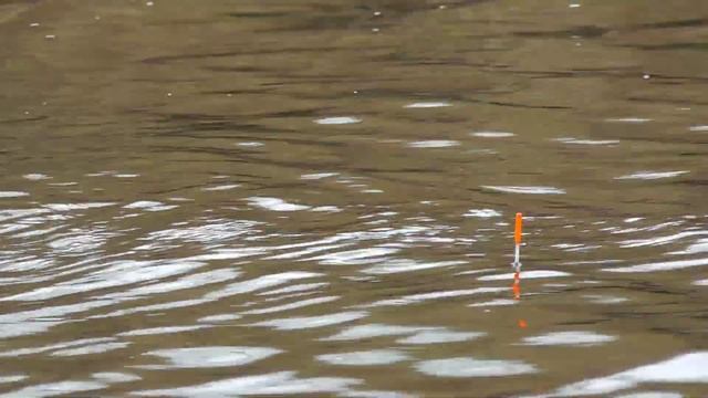 Рыбалка на поплавок весной. Супер наживка за 2 мин. от которой карась ломал мне руки смотреть онлайн