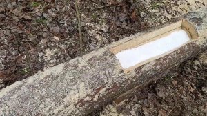 Кормушка и солонец для косули