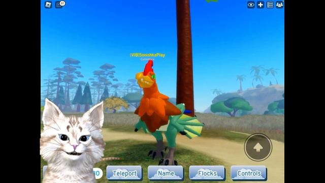 НОВОЕ Обновление в Feather Family! Семья Птиц | Роблокс Семья Перьев