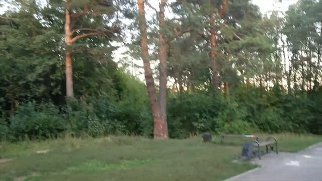 1632, Сосны, парк Ботаника, детская площадка, красивое место, Заводской район, город Орёл смотреть онлайн