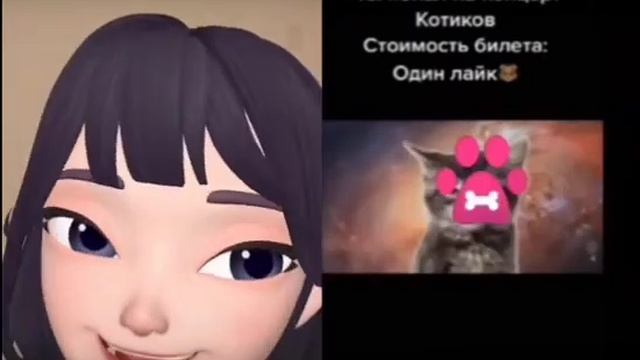 Клип, поздравления на заказ, космические котики, музыка на телефон, открытка, рекомендации смотреть онлайн