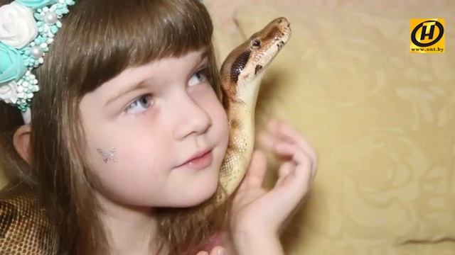 Дети и змеи: стоит ли боятся держать рептилию дома? смотреть онлайн