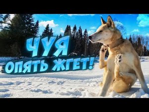 ОДИН В ТАЙГЕ,ТАЁЖНЫЙ ТОПОР,РЫБАЛКА,ЧУЯ ГРЕЕТ ПЯТКИ НА ВЕСЕННЕМ СОЛНЦЕ.