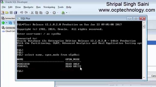 How to use SQL Developer with Oracle 12c смотреть онлайн