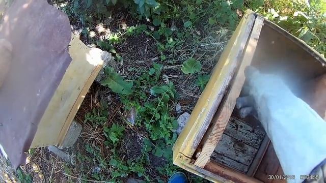 Пасека с нуля второй рой 2018 года. Рой привился рядом с ловушкой. Расширение пасеки. смотреть онлайн