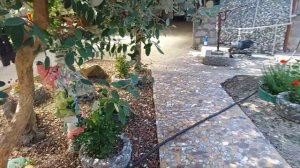 Абхазия гостевой дом "Пальма" Алахадзы сегодня 3 июля 2021