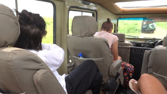 Сафари в Танзании | парк Микуми | купили экскурсию у местных | 28 смотреть онлайн