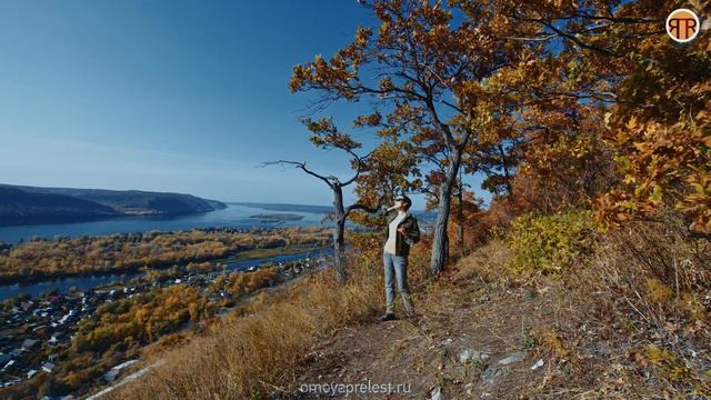 Эпизод №2. Волшебное слово смотреть онлайн