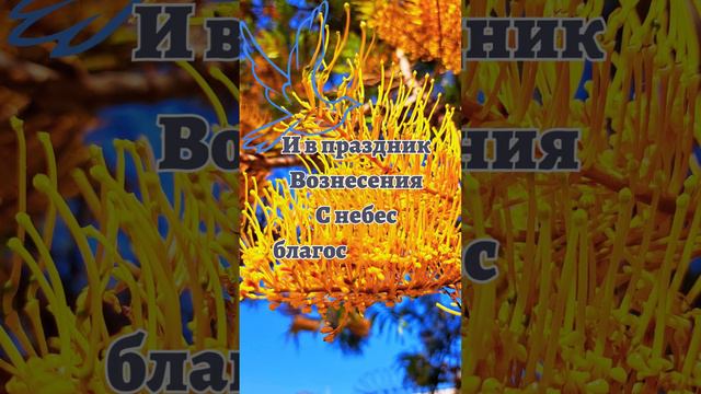 С Вознесением Господним!🕊 25 мая🌷 смотреть онлайн