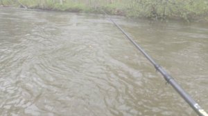 Горная рыбалка речка спутница