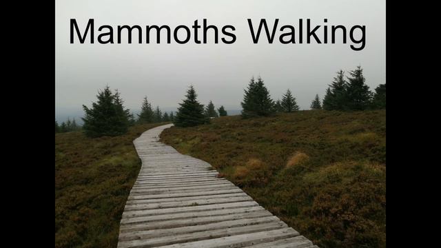Mammoths Walking смотреть онлайн