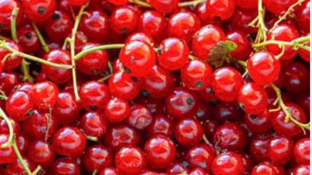 Скажи Нет кремам -от них отёки !!! Ягоды лучшее для лица ! смотреть онлайн