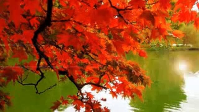 Я тебя найду смотреть онлайн