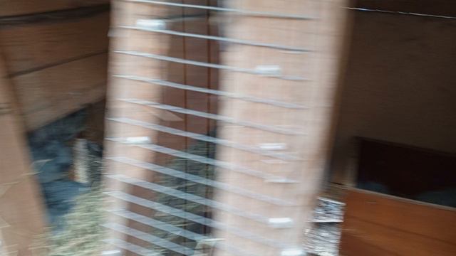 краткий обзор моего кроличьего хозяйства.